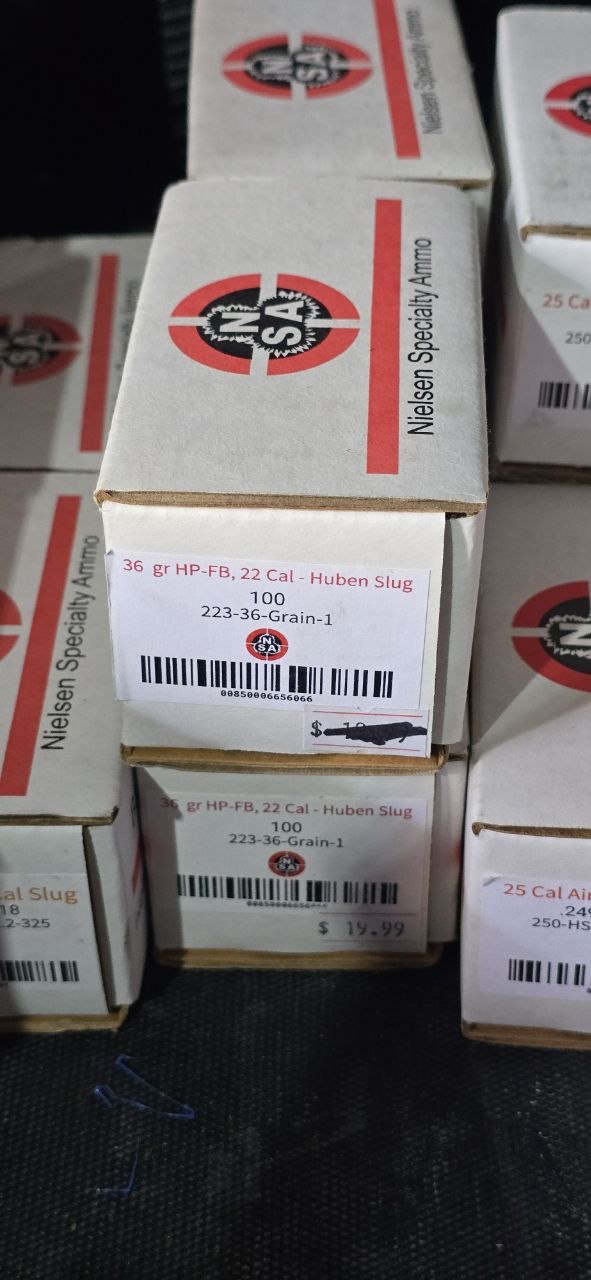 NSA .22cal Slugs Huebuen .223