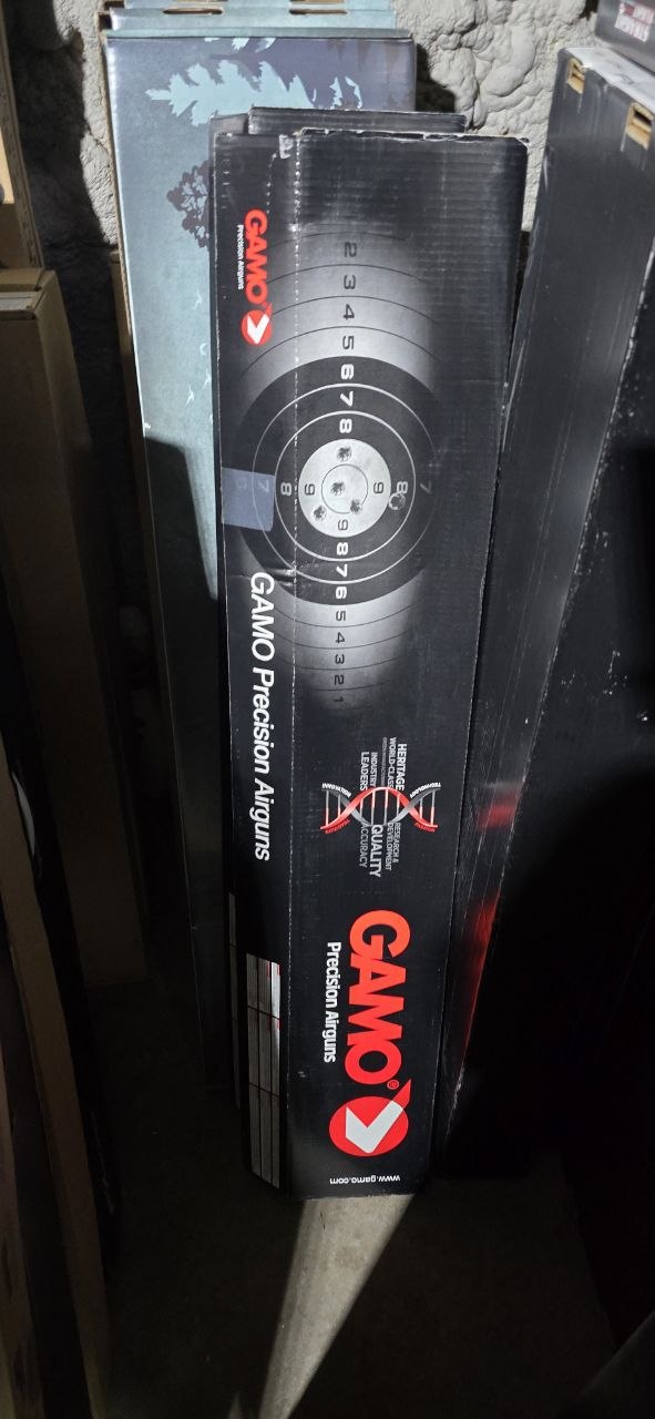 Gamo Arrow Multi-Shot PCP .22cal