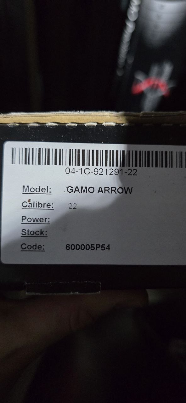 Gamo Arrow Multi-Shot PCP .22cal view 3