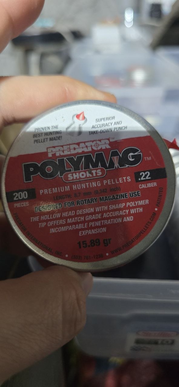 Polymag .22cal Short